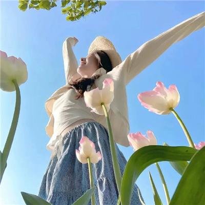 摩斯探长前传第五季